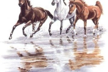 Tres grandes razas de caballlos